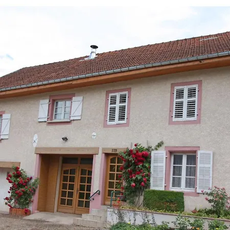 Spacieux Avec Terrasse Et Cheminee Pres De Saint-die, A 28 Km De Gerardmer - Fr-1-589-261