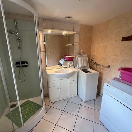 Spacieux Avec Terrasse Et Cheminee Pres De Saint-die, A 28 Km De Gerardmer - Fr-1-589-261 Holiday home Taintrux
